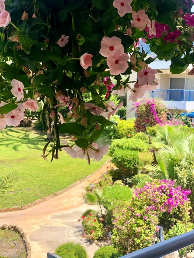 Paradise Gardens With A Large Terrace Paphos Esterno foto