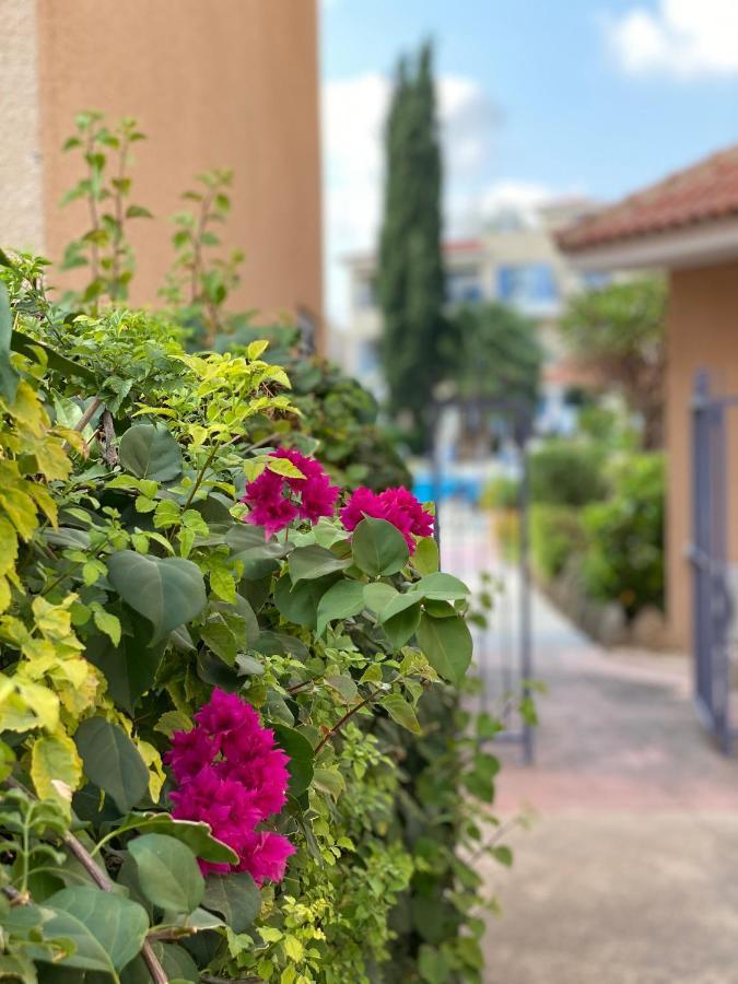 Paradise Gardens With A Large Terrace Paphos Esterno foto