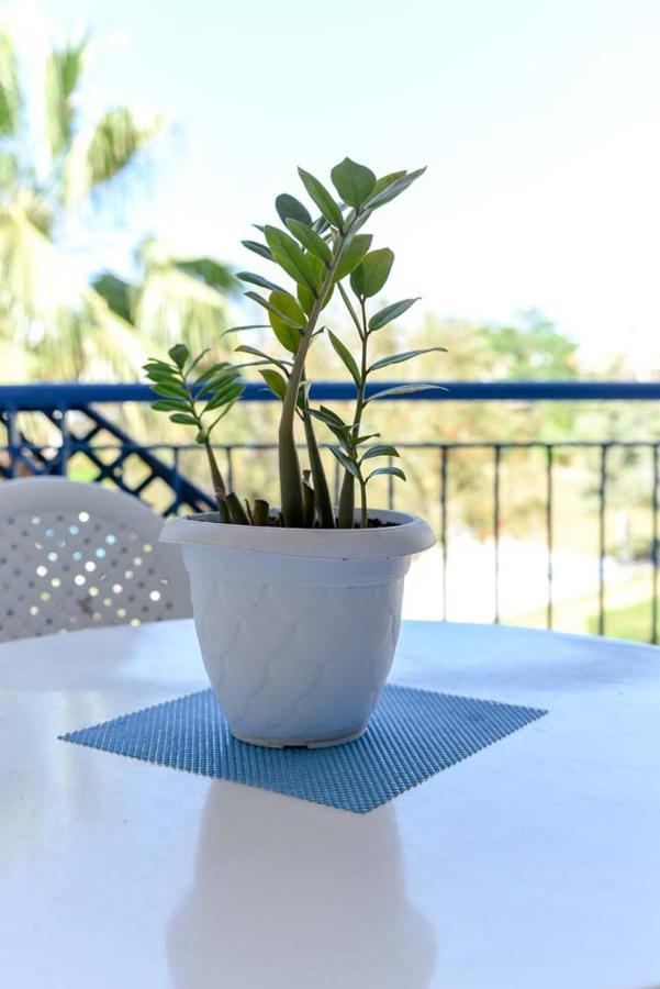 Paradise Gardens With A Large Terrace Paphos Esterno foto